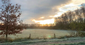 Laetare, Verheug U ©foto Rieke Mes